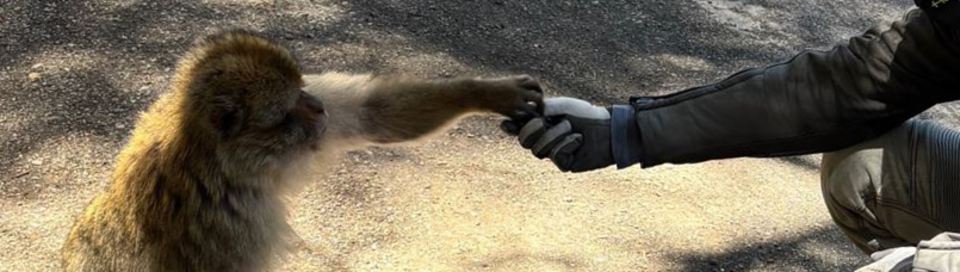 something for everyone